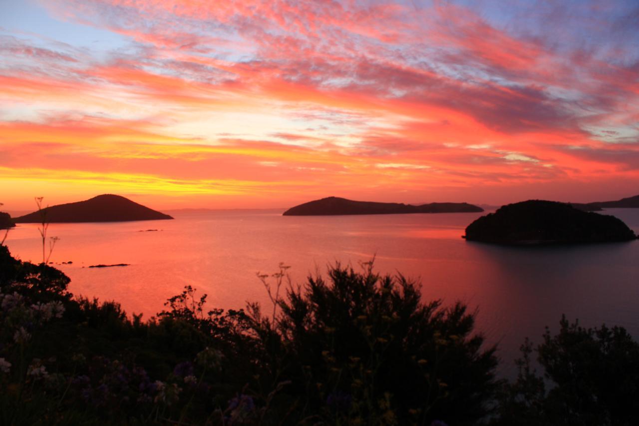 Coromandel Cottages Buitenkant foto
