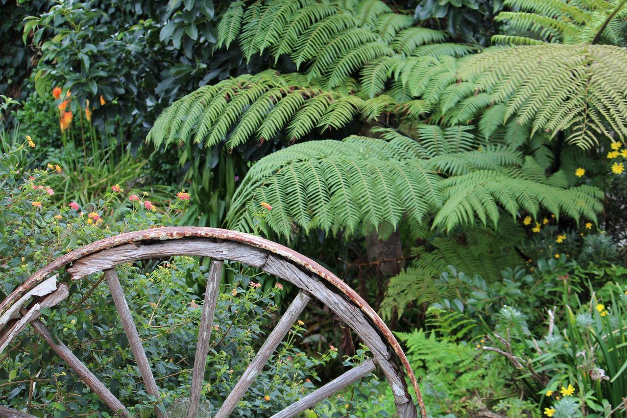 Coromandel Cottages Buitenkant foto