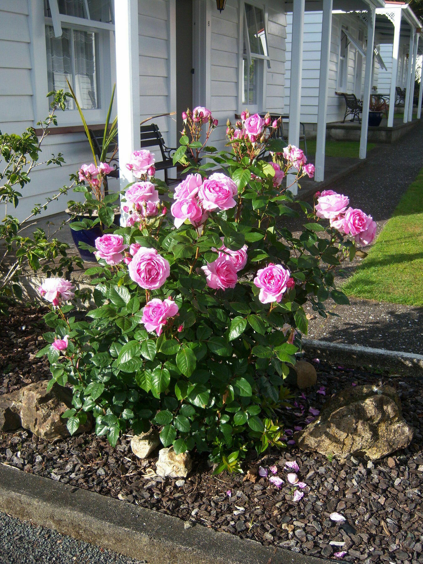 Coromandel Cottages Buitenkant foto